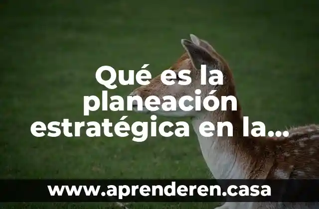 Que es la evaluacion estrategica de una empresa 3 Qu茅 es la planeaci贸n estrat茅gica en la educaci贸n
