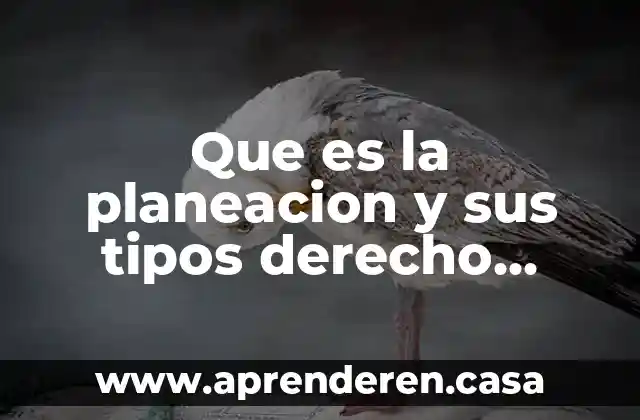Que es la planeacion y sus tipos derecho economico