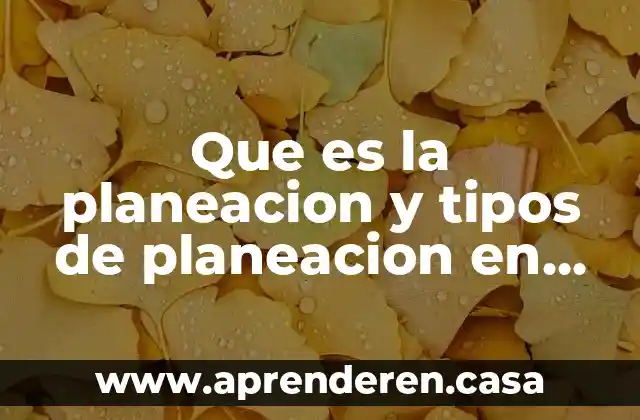 Que es la planeacion y tipos de planeacion en administracion
