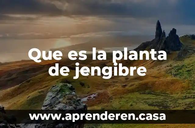 Que es la planta de jengibre