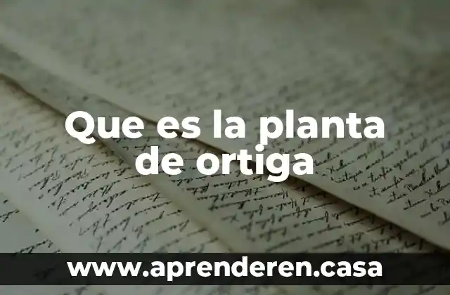 Que es la planta de ortiga