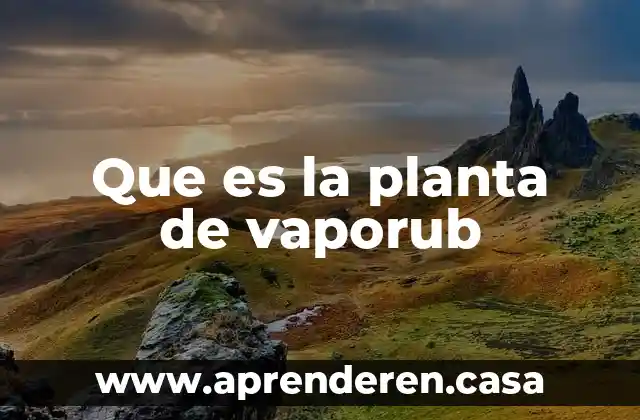 Que es la planta de vaporub
