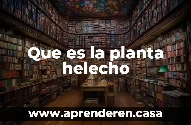 Que es la planta helecho