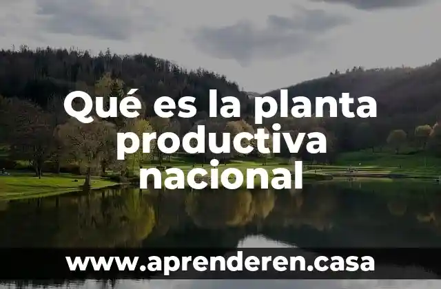 Qué es la planta productiva nacional