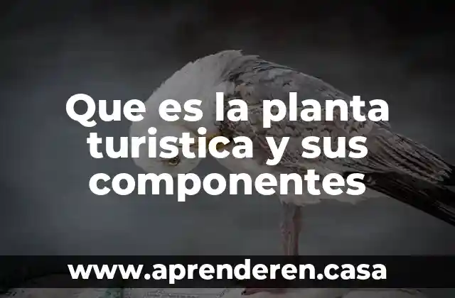 Que es la planta turistica y sus componentes