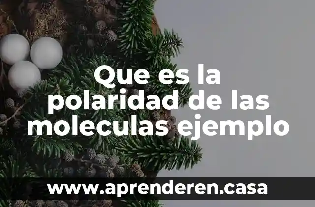 Que es el cat ejemplo resuelto 4 Que es la polaridad de las moleculas ejemplo