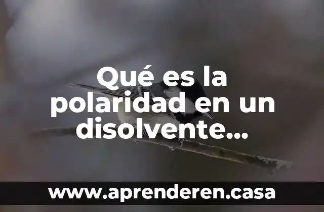 Qué es la polaridad en un disolvente orgánico