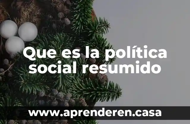 Que es la política social resumido