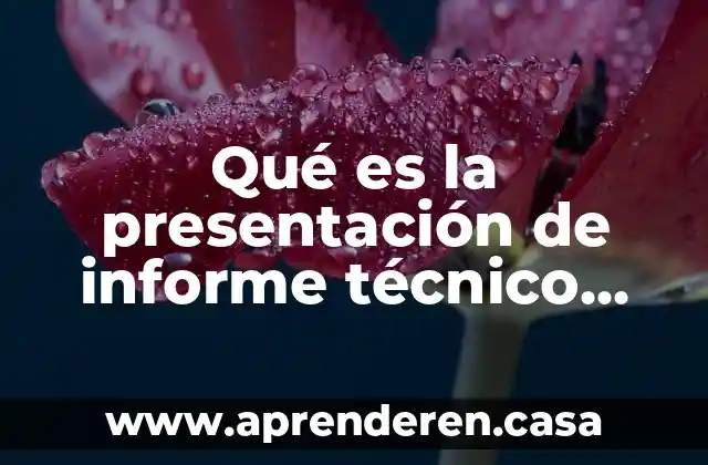 Qué es la presentación de informe técnico universitario