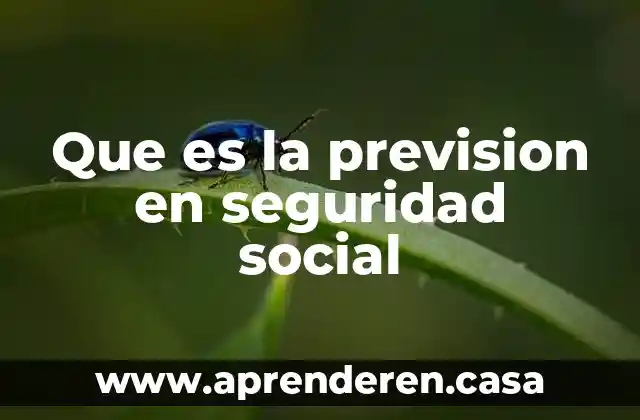 Que es la prevision en seguridad social