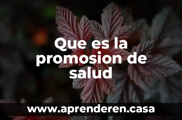 Que es un cuestionario de salud y valoracion medica 4 Que es la promosion de salud