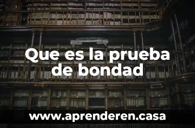 Que es la prueba de bondad