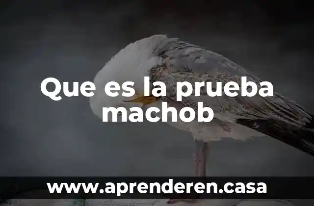 Prueba spache que es 6 Que es la prueba machob