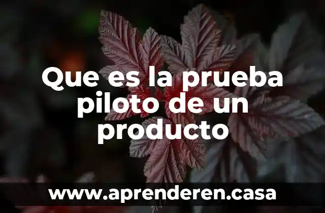 Que es la prueba piloto de un producto