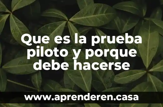 Que es la prueba piloto y porque debe hacerse