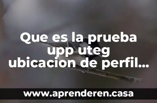 Que es la prueba upp uteg ubicacion de perfil profesional