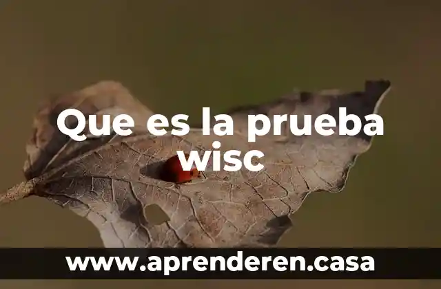 Que es la prueba wisc