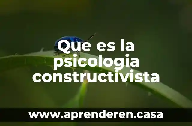 Que es una teoria constructivista 3 Que es la psicologia constructivista