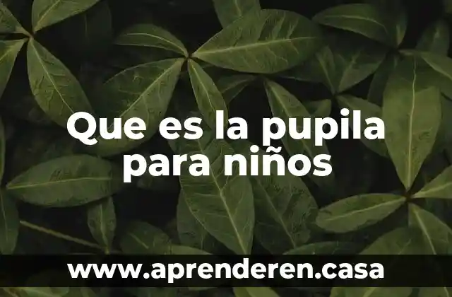 Que es leer y escribir para niños 4 Que es la pupila para niños