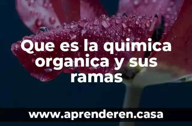 Que es la quimica organica y sus ramas