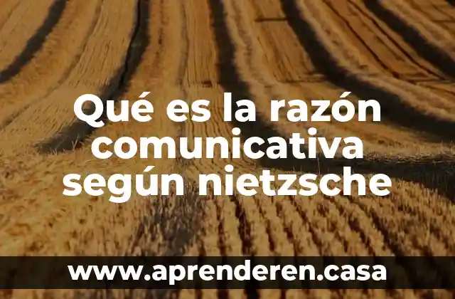 Qué es la razón comunicativa según nietzsche