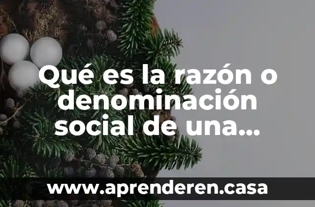 Qué es la razón o denominación social de una empresa