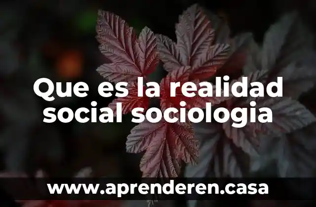 Que es la realidad social sociologia