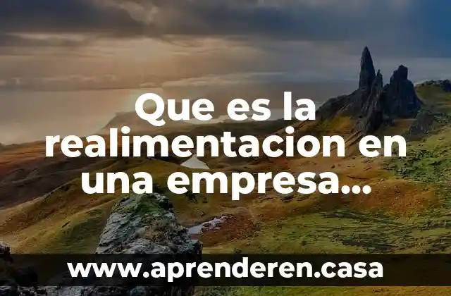 Que es la realimentacion en una empresa industria