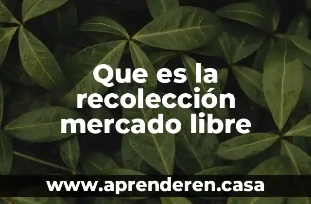 Que es la recolección mercado libre