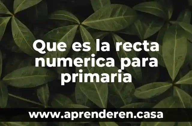 Que es una linea recta ejemplos 8 Que es la recta numerica para primaria