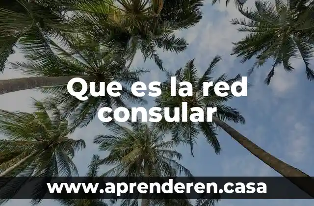 Que es una red agricola productores 6 Que es la red consular