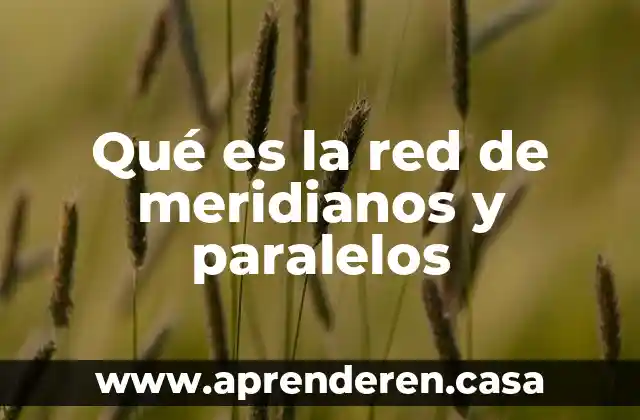 Que es znco en quimica 3 Qué es la red de meridianos y paralelos