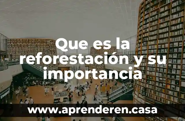 Que es la reforestación y su importancia