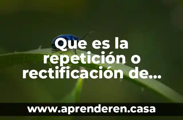 Que es la repetición o rectificación de silabas o palabras