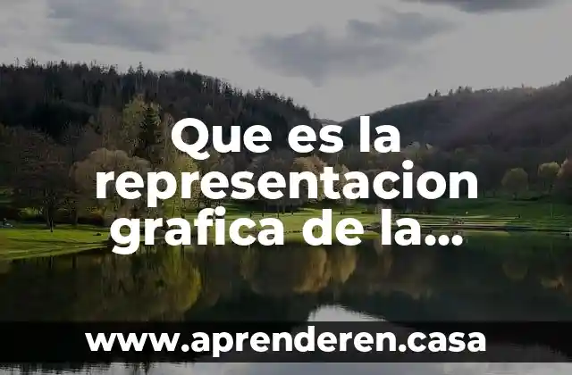 Que es la representacion grafica de la solucion