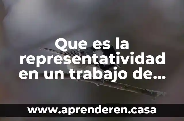 Que es la representatividad en un trabajo de investigación