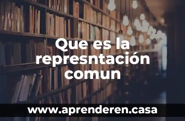 Que es un componente comun 7 Que es la represntación comun