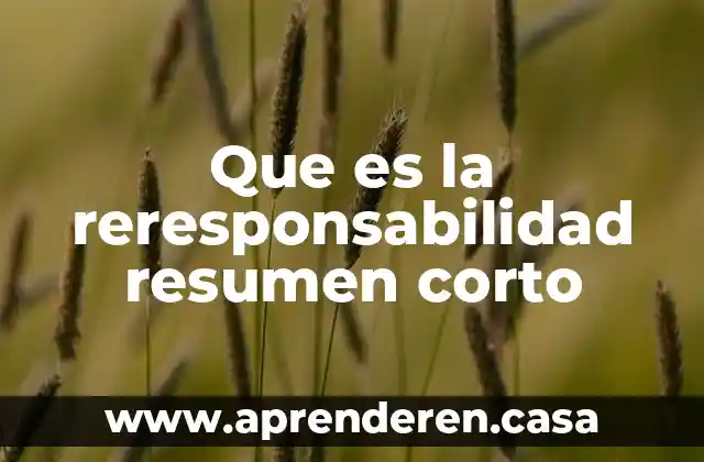 Que es la reresponsabilidad resumen corto