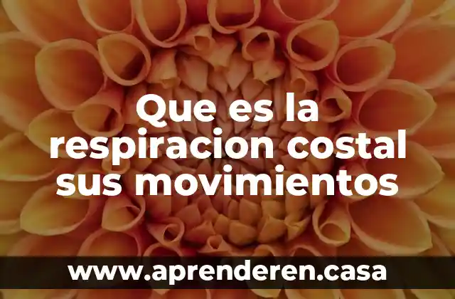 Que es la respiracion costal sus movimientos