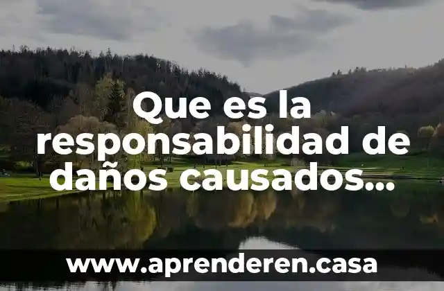 Que es la responsabilidad de daños causados en etica
