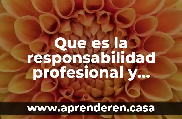 Que es la responsabilidad profesional y tecnica