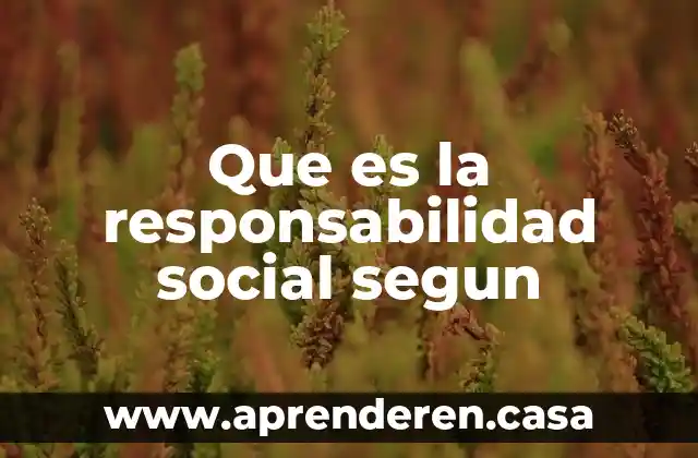 Que es la responsabilidad social segun
