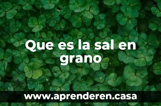 Qué es la sal marina 4 Que es la sal en grano