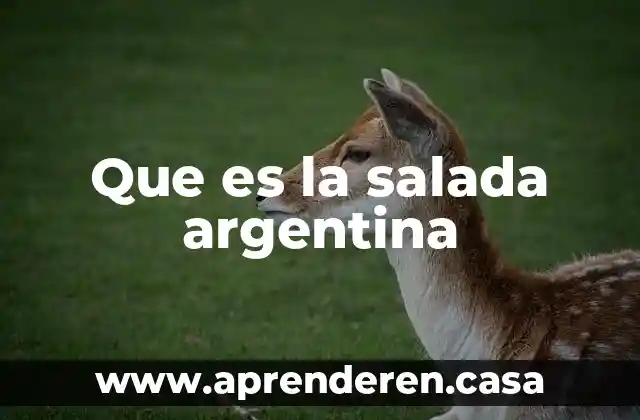 Que es la salada argentina