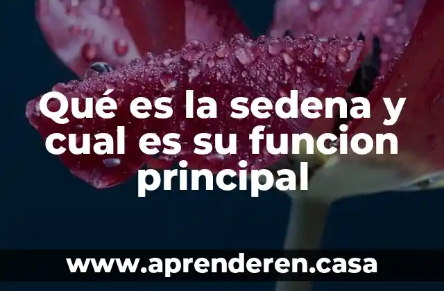 Qué es la sedena y cual es su funcion principal