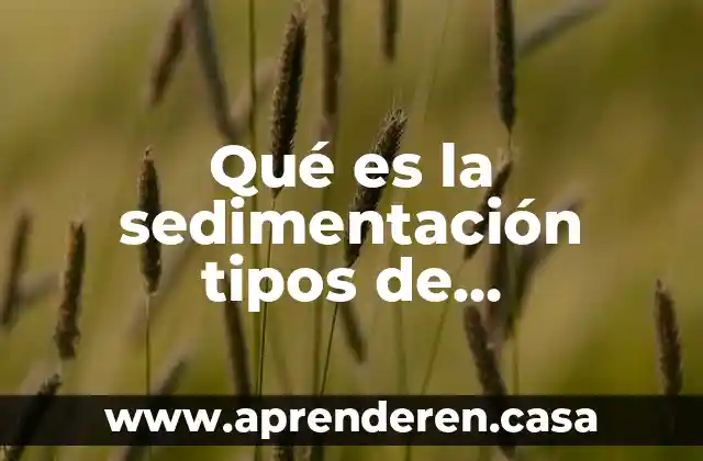 Qué es la sedimentación tipos de fósilización
