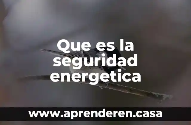 Que es la seguridad energetica