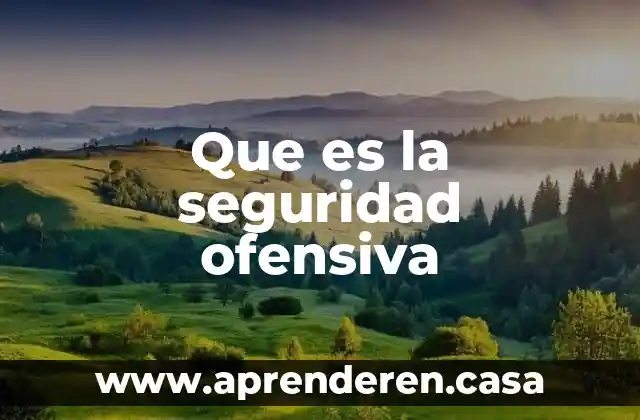 Que es un parche de seguridad 5 Que es la seguridad ofensiva