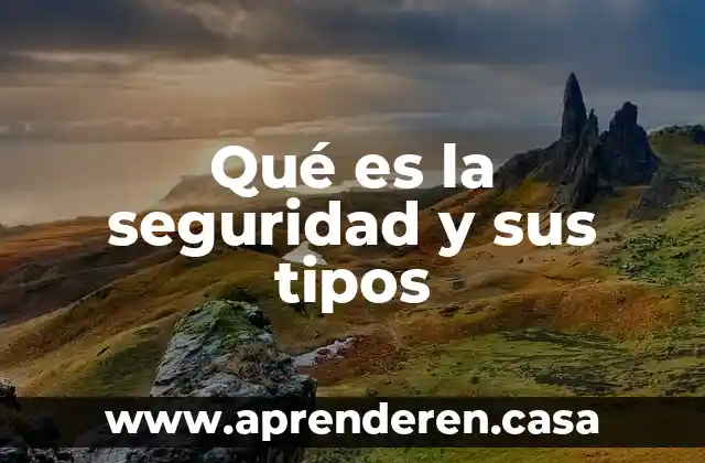 Qué es la seguridad y sus tipos