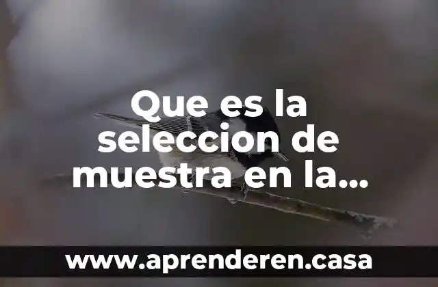 Que es la seleccion de muestra en la investigacion